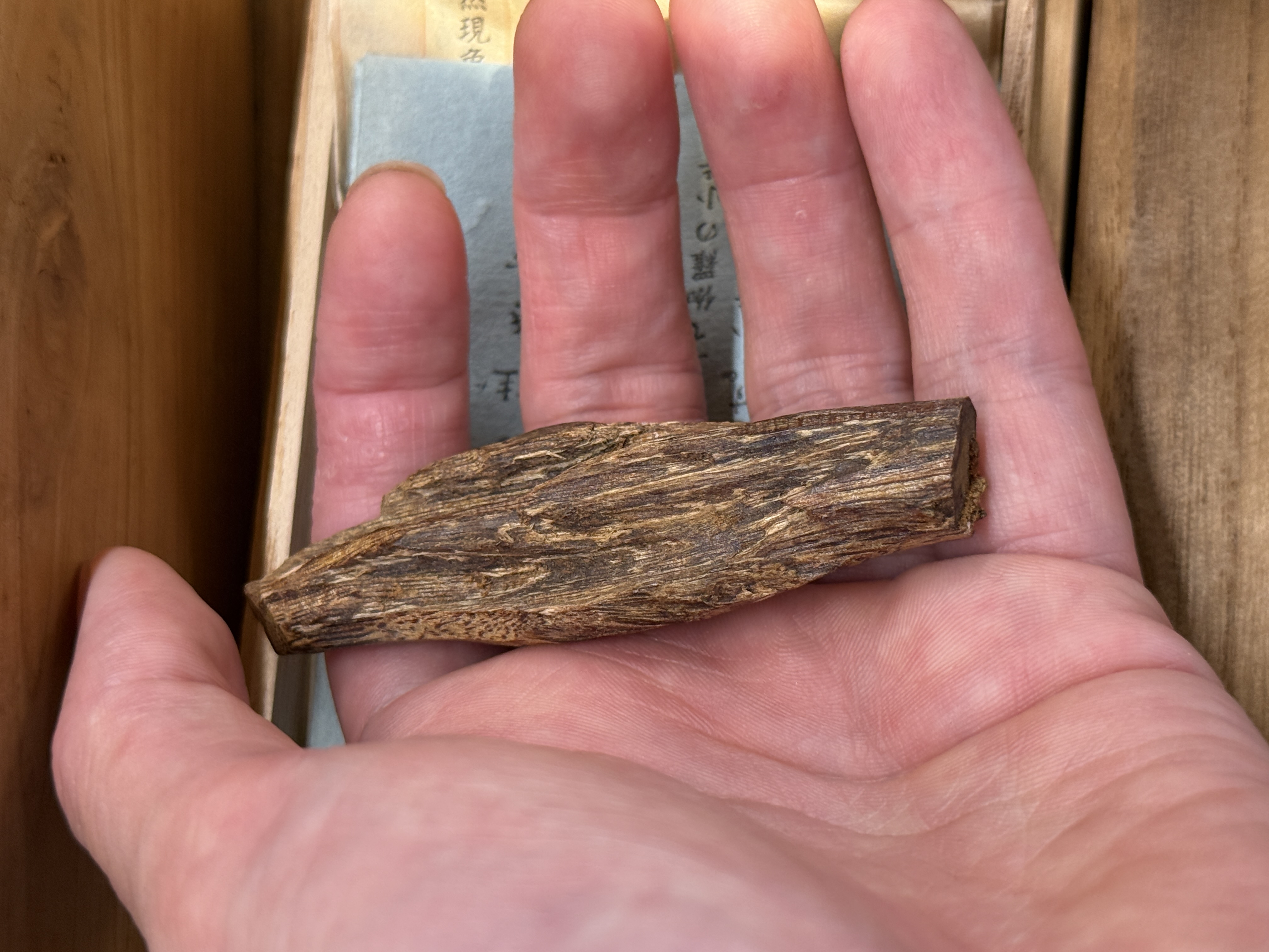 えびす屋のお知らせ「骨董コラム｜香木の王・伽羅と沈香の魅力：ベトナム産の価値と少量でも売れる理由」